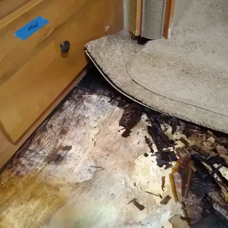 Wood Floor Water Damage in Clint, TX